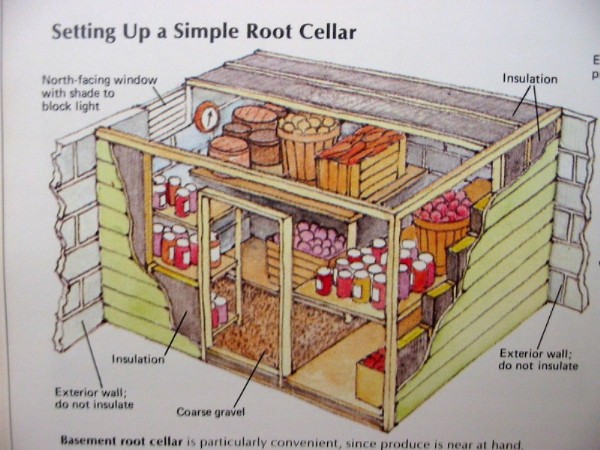 root cellar