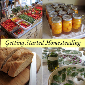 starting homesteading
